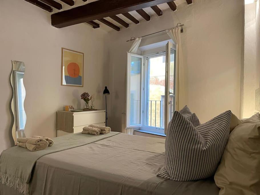 Casa Storica Nel Cuore Di Pisa - Lungarno المظهر الخارجي الصورة